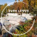 장암로 | [충남 부여] 느루캠핑장 가을캠핑 프리미엄존 P1 솔직후기