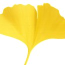 칠성부동산공인중개사사무소 이미지