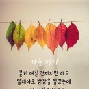 동그마니 이미지