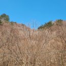 1350 | 오지산행후기(1350차) 가평 산갓 정찰 2026.04.02(목)