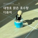 협동 | [마을기업 서포터즈] 로컬디자인숲협동조합 디퓨저 후기