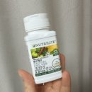 자연과 건강 | 암웨이 앨로케어 내돈내산 후기 - 자연의 힘으로 코 건강 개선하기