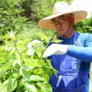 수도산민박 이미지