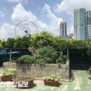 정원청과 이미지