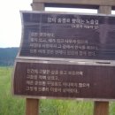 국토종주자전거길1-19 이미지