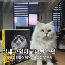 캣츠헤어 - 봉화군 봉화로 1193-1 | 입맛 까다로운 냥이도 그릇 싹 비우게 만든 고양이 헤어볼사료, 캣츠밀 인도어사료 솔직 후기