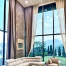 디나우스 이미지