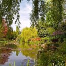 모네의 정원 이미지