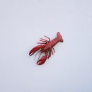 랍스타하우스 - 경주시 내외로 366-1 | 랍스타하우스