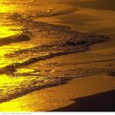 붉은노을 이미지