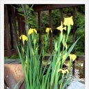 황실펜션 이미지