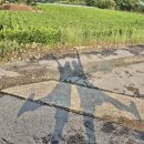 309펜션민박 이미지