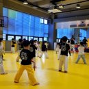 용인대윙스태권도장 이미지