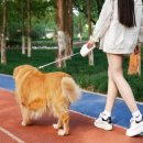 없음 쇼핑하우