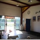 너와함개냥 이미지