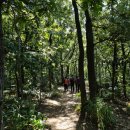 장산고향손두부 이미지