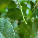 이도내과의원 이미지