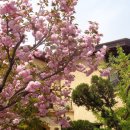 원당약수터 이미지