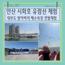 체험나들이코스 | 안산 시화호 유람선 체험 후기 | 대부도 방아머리 해수욕장 갯벌체험까지 봄나들이 코스 소개