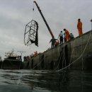 어항단지로 이미지