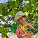 이레농장 이미지