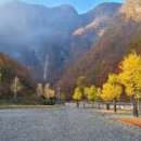 평창동강로 이미지