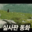 빅 베어 * 가족 영화 이미지