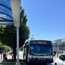 유픽(U-PICK) | 캐나다 밴쿠버 | U-pick 유픽 후기 (딸기, 블루베리, 라즈베리, 블랙베리)