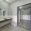 도그 스포지움 이미지