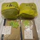 스타메디칼 | 다시 한번 해외취업! 스타 드림 크루즈 합격 후기 부제목:) 필리핀 워킹비자 다운그레이드 후 재입국하기