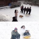 다정한 민박 이미지