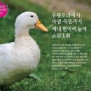 유황오리 이미지