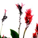 보룡1리 이미지