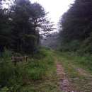 하늘계곡캠핑장 이미지