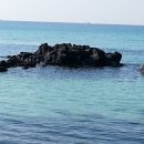 마산초등학교 이미지