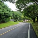 내곡동543 | 경기도 고래산의역사