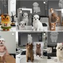 피규어 만들기 이미지