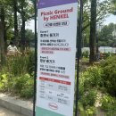 정원가든 | 서울 보라매공원 국제정원박람회 메타몽가든 후기