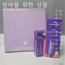 이니플 | 란시노 HPA 라놀린 니플 유두보호 크림 모유수유 필수템