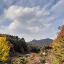 별헤는 펜션 이미지