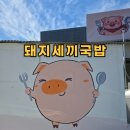 함덕해수욕장 맛집 돼지세끼국밥 제주도 현지인들이 가는 로컬식당 후기