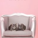 아이톡&내가찾는사진관