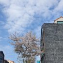 연도약국 이미지