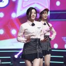 베리굿 스타데일리뉴스 