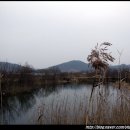 보경매운탕 이미지