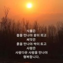평안 - 구로구 디지털로27길 124-10 | 평안