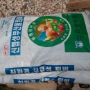 뒤뜰농장 Daum카페