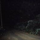 학구농장 Daum카페