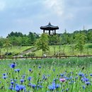 증평군 농업기술센터 | [여행] 증평 농심테마파크(증평군 농업기술센터)