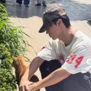 “무대에선 그렇게 센데” 고양이 앞에선 달라졌다…에이티즈 산, 남친짤 생성 잘해